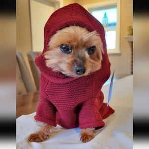 Burgundy Knit Dog Hoodie S